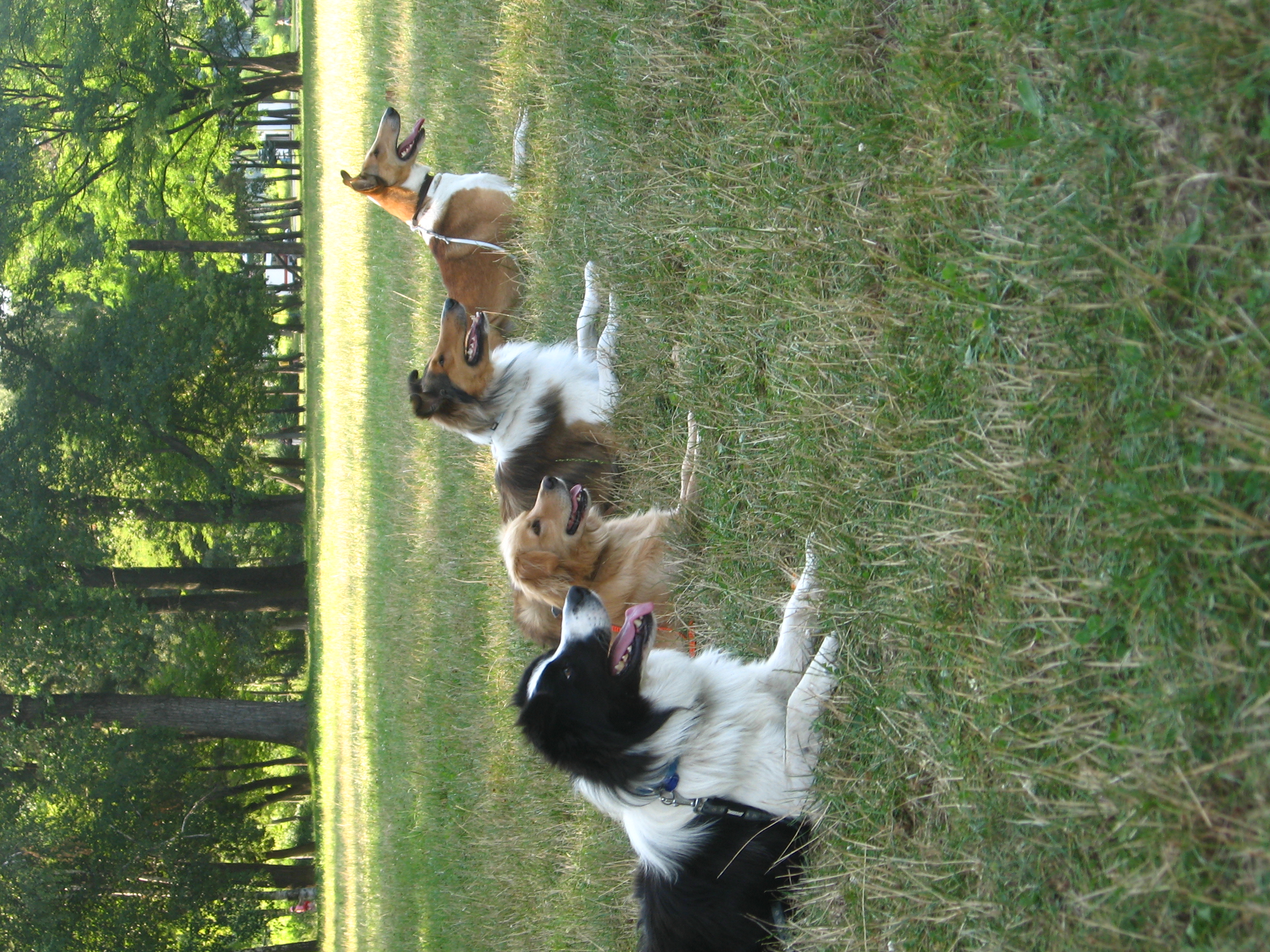IMG_0057.jpg